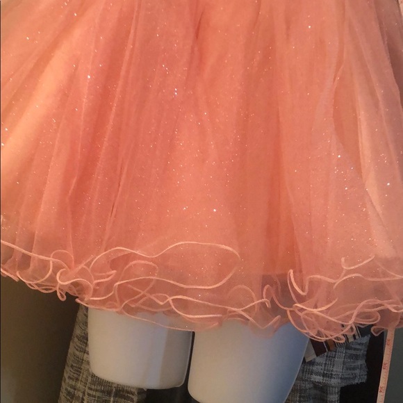 Rose Gold Tutu 12” waist - Picture 5 of 6